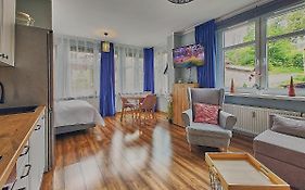 Apartament Świerkowy